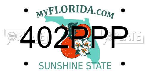 402PPP Florida License Plate