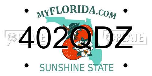 402QDZ Florida License Plate