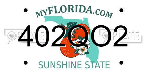 402QO2 Florida License Plate