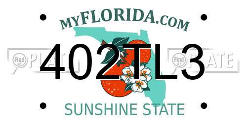 402TL3 Florida License Plate
