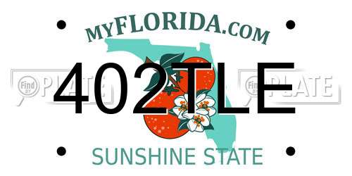 402TLE Florida License Plate