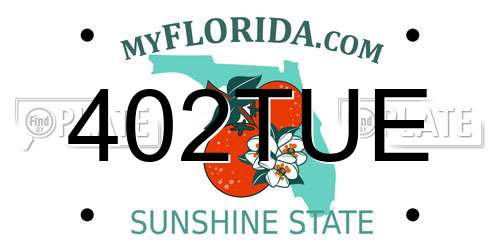 402TUE Florida License Plate