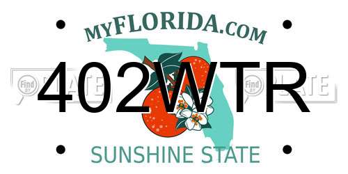 402WTR Florida License Plate