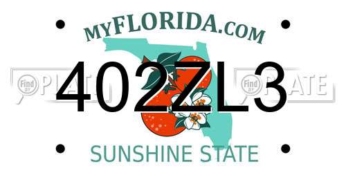 402ZL3 Florida License Plate