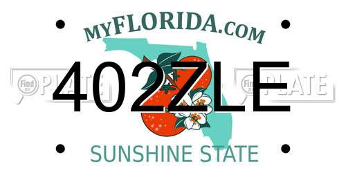 402ZLE Florida License Plate
