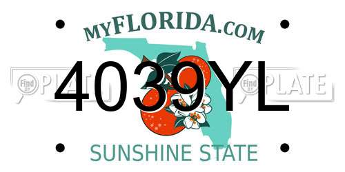 4039YL Florida License Plate
