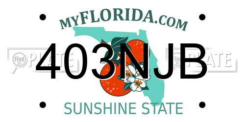 403NJB Florida License Plate