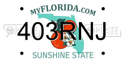403RNJ Florida License Plate