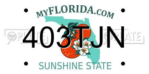 403TJN Florida License Plate