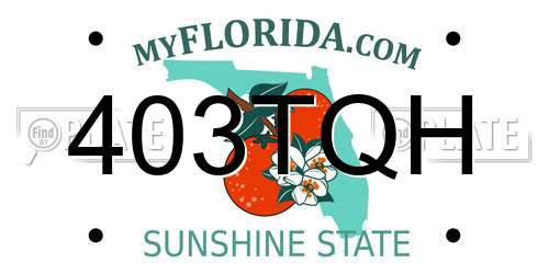 403TQH Florida License Plate