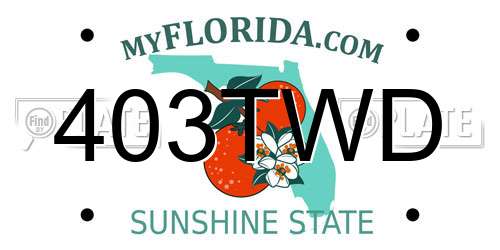 403TWD Florida License Plate