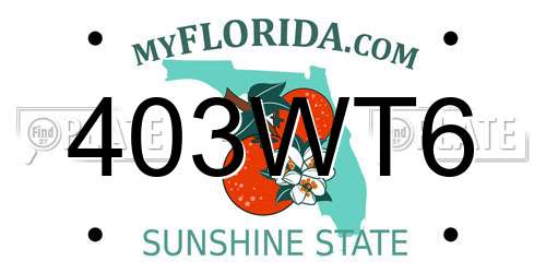 403WT6 Florida License Plate