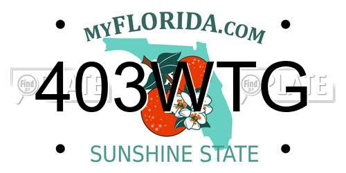 403WTG Florida License Plate