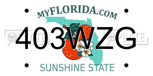 403WZG Florida License Plate