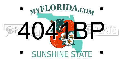4041BP Florida License Plate