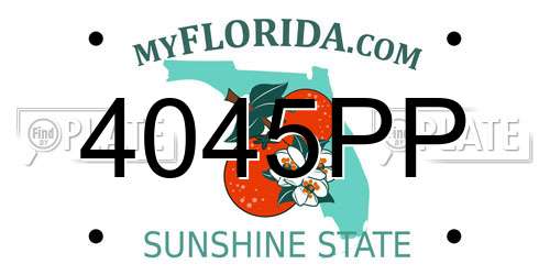 4045PP Florida License Plate