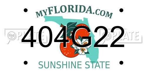 404G22 Florida License Plate