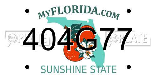 404G77 Florida License Plate