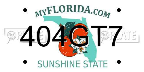 404GT7 Florida License Plate