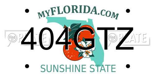 404GTZ Florida License Plate