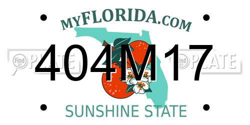 404M17 Florida License Plate