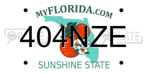 404NZE Florida License Plate