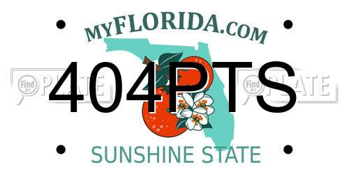 404PTS Florida License Plate