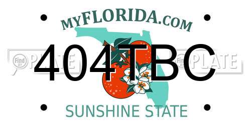 404TBC Florida License Plate