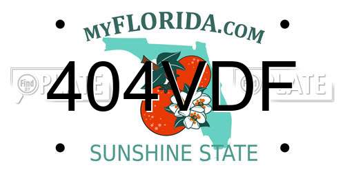 404VDF Florida License Plate