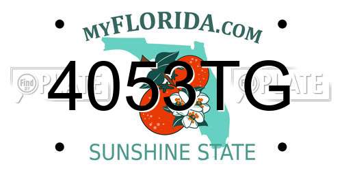 4053TG Florida License Plate