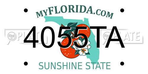 4055TA Florida License Plate