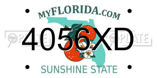 4056XD Florida License Plate