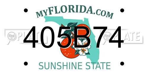405B74 Florida License Plate