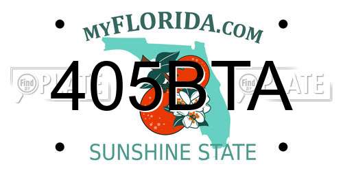 405BTA Florida License Plate