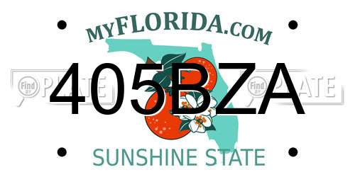 405BZA Florida License Plate