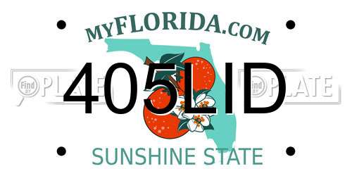 405LID Florida License Plate
