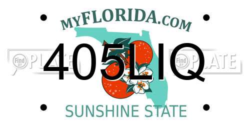 405LIQ Florida License Plate