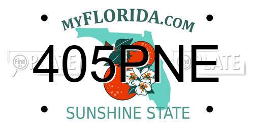 405PNE Florida License Plate