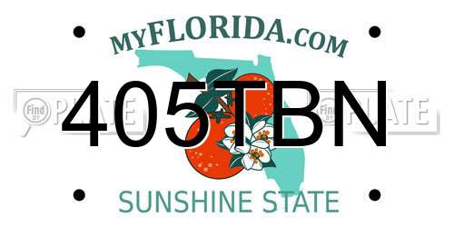 405TBN Florida License Plate