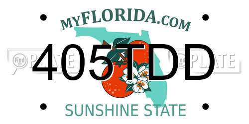 405TDD Florida License Plate
