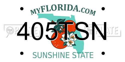 405TSN Florida License Plate