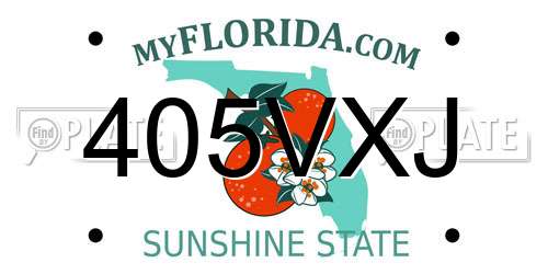 405VXJ Florida License Plate