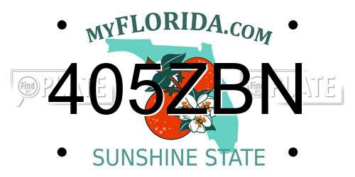 405ZBN Florida License Plate