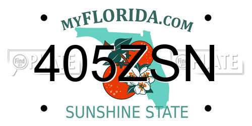 405ZSN Florida License Plate