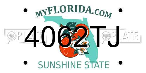 4062TJ Florida License Plate