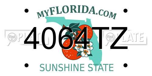 4064TZ Florida License Plate
