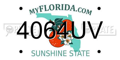 4064UV Florida License Plate