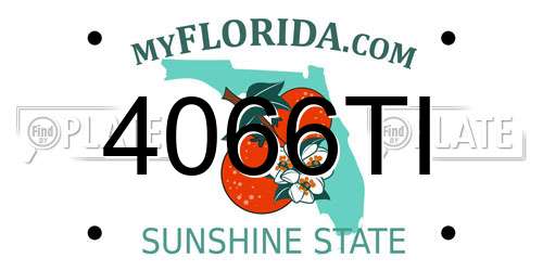 4066TI Florida License Plate