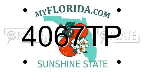 4067TP Florida License Plate