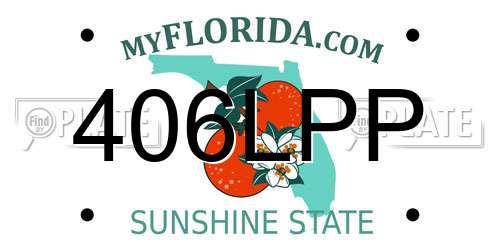 406LPP Florida License Plate